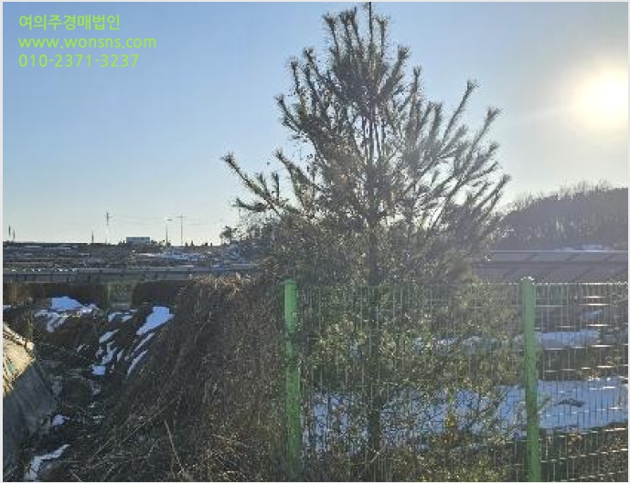ÅäÁö(ÀâÁ¾Áö) »çÁø1 | ÀÌõ½Ã ¼³¼º¸é Á¦¿ä¸® | 2024Ÿ°æ6576 | ÅäÁö(ÀâÁ¾Áö)°æ¸Å