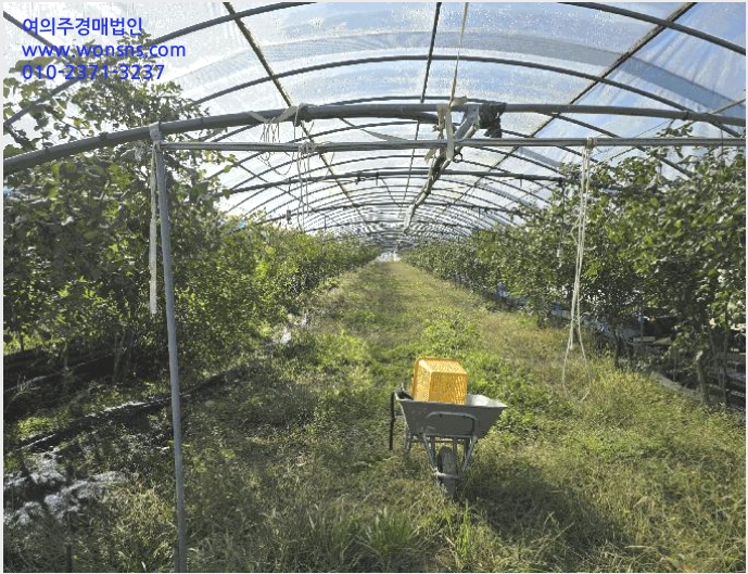 ÅäÁö(´ä) »çÁø1 | ³²¿ø½Ã ±ÝÁö¸é Å󻸮 | 2025Ÿ°æ30262 | ÅäÁö(´ä)°æ¸Å