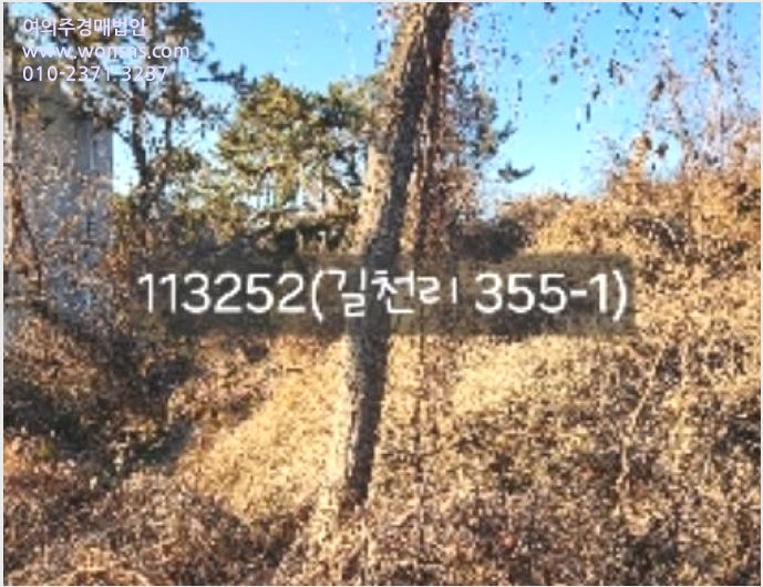 ÅäÁö(ÀÓ¾ß) »çÁø1 | ±âÀ屺 Àå¾ÈÀ¾ ±æÃµ¸® | 2024Ÿ°æ113252 | ÅäÁö(ÀÓ¾ß)°æ¸Å