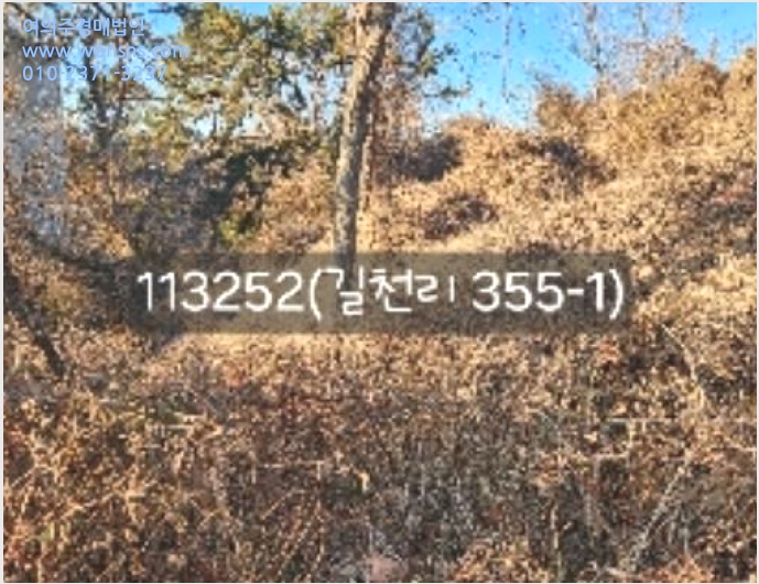 ÅäÁö(ÀÓ¾ß) »çÁø1 | ±âÀ屺 Àå¾ÈÀ¾ ±æÃµ¸® | 2024Ÿ°æ113252 | ÅäÁö(ÀÓ¾ß)°æ¸Å