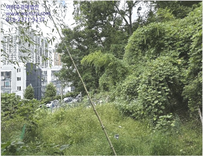 ÅäÁö(´ä) »çÁø1 | °ÅÁ¦½Ã ³²ºÎ¸é ´Ù´ë¸® | 2025Ÿ°æ22053 | ÅäÁö(´ä)°æ¸Å