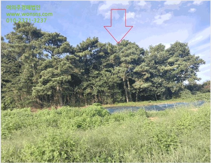 ÅäÁö(ÀÓ¾ß) »çÁø1 | ºÎ¾È±º ÁÙÆ÷¸é ³»ê¸® | 2025Ÿ°æ30419 | ÅäÁö(ÀÓ¾ß)°æ¸Å