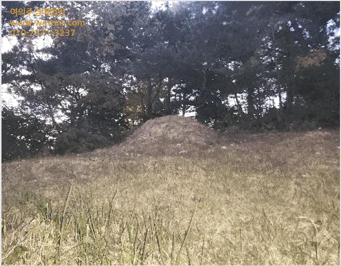 ÅäÁö(Àü) »çÁø1 | °í¼º±º ÇÏÀÌ¸é ¿ùÈ︮ | 2025Ÿ°æ22181 | ÅäÁö(Àü)°æ¸Å