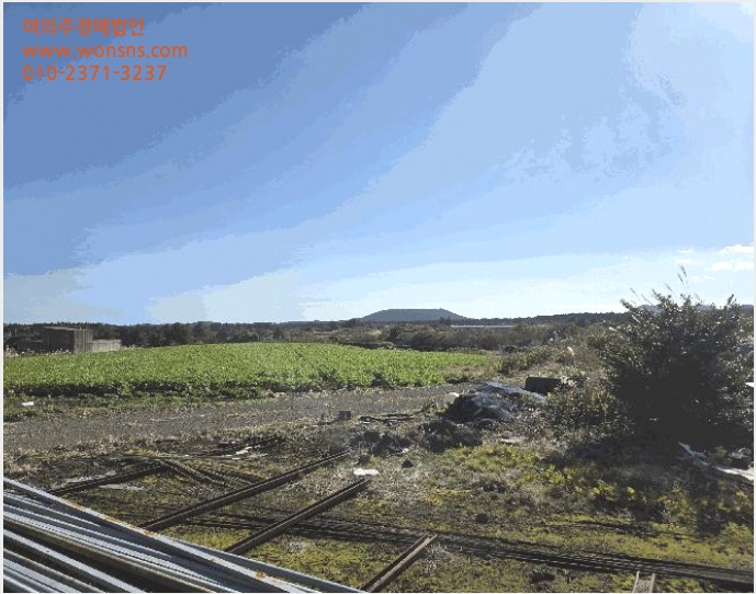 ÅäÁö(Àü) »çÁø1 | Á¦Áֽà ±¸ÁÂÀ¾ ¼Û´ç¸® | 2025Ÿ°æ9003 | ÅäÁö(Àü)°æ¸Å
