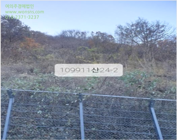ÅäÁö(ÀÓ¾ß) »çÁø1 | ±âÀ屺 Á¤°üÀ¾ ´Þ»ê¸® | 2023Ÿ°æ109911 | ÅäÁö(ÀÓ¾ß)°æ¸Å