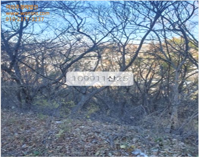 ÅäÁö(ÀÓ¾ß) »çÁø1 | ±âÀ屺 Á¤°üÀ¾ ´Þ»ê¸® | 2023Ÿ°æ109911 | ÅäÁö(ÀÓ¾ß)°æ¸Å