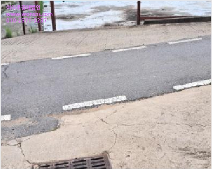 ÅäÁö(ÀÓ¾ß) »çÁø1 | ÆÄÁֽà ¿ù·Õ¸é ´öÀº¸® | 2025Ÿ°æ63063 | ÅäÁö(ÀÓ¾ß)°æ¸Å