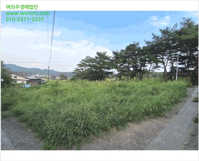 ÅäÁö(ÀÓ¾ß) »çÁø1 | »êû±º ´Ü¼º¸é ±æ¸® | 2025Ÿ°æ31134 | ÅäÁö(ÀÓ¾ß)°æ¸Å