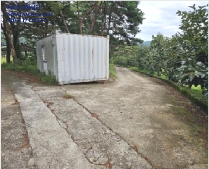 ÅäÁö(ÀÓ¾ß) »çÁø1 | »êû±º ´Ü¼º¸é ±æ¸® | 2025Ÿ°æ31134 | ÅäÁö(ÀÓ¾ß)°æ¸Å