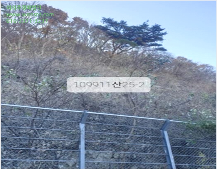 ÅäÁö(ÀÓ¾ß) »çÁø1 | ±âÀ屺 Á¤°üÀ¾ ´Þ»ê¸® | 2023Ÿ°æ109911 | ÅäÁö(ÀÓ¾ß)°æ¸Å