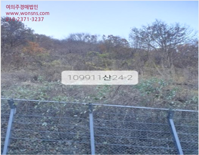 ÅäÁö(ÀÓ¾ß) »çÁø1 | ±âÀ屺 Á¤°üÀ¾ ´Þ»ê¸® | 2023Ÿ°æ109911 | ÅäÁö(ÀÓ¾ß)°æ¸Å