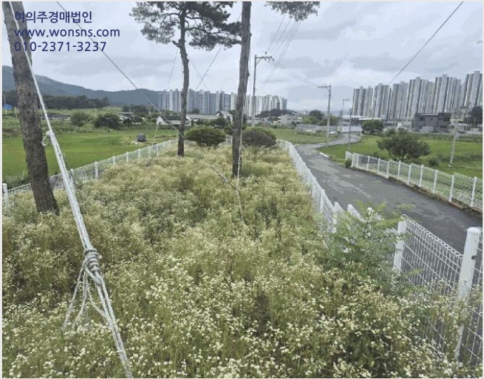 ÅäÁö(µµ·Î) »çÁø1 | ¾È¼º½Ã ´ë´ö¸é ¼ÒÇö¸® | 2025Ÿ°æ638 | ÅäÁö(µµ·Î)°æ¸Å