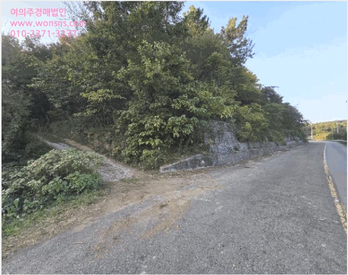 ÅäÁö(ÀÓ¾ß) »çÁø1 | °íÈﱺ µµ¾çÀ¾ Àå°è¸® | 2025Ÿ°æ52293 | ÅäÁö(ÀÓ¾ß)°æ¸Å