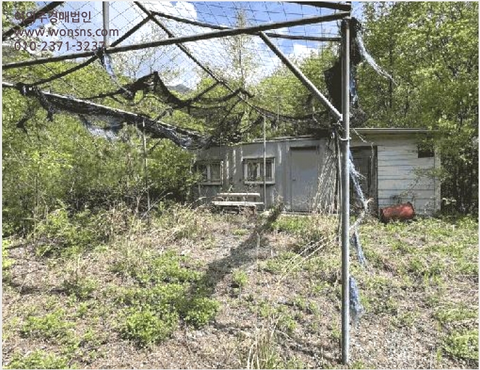 ÅäÁö(Àü) »çÁø1 | ¿µ¿ù±º ¹«¸ªµµ¿ø¸é ¹ýÈ︮ | 2025Ÿ°æ622 | ÅäÁö(Àü)°æ¸Å