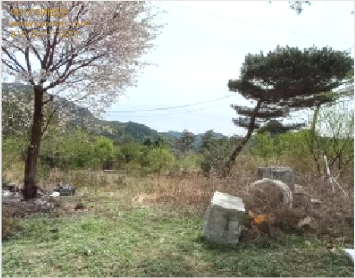 À¯Áö »çÁø1 | Æ÷õ½Ã ¿µºÏ¸é »êÁ¤¸® | 2025Ÿ°æ72063 | À¯Áö°æ¸Å