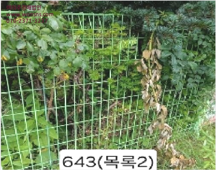 ÅäÁö(´ä) »çÁø1 | ±âÀ屺 ±âÀåÀ¾ ³»¸® | 2025Ÿ°æ643 | ÅäÁö(´ä)°æ¸Å