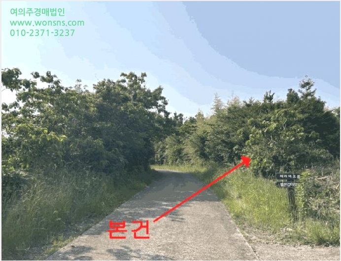 ÅäÁö(ÀÓ¾ß) »çÁø1 | ¼±ÍÆ÷½Ã Ç¥¼±¸é °¡½Ã¸® | 2025Ÿ°æ8119 | ÅäÁö(ÀÓ¾ß)°æ¸Å