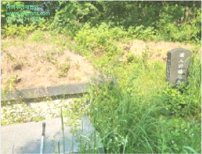ÅäÁö(ÀÓ¾ß) »çÁø1 | ±¤Áֽà ³²Á¾¸é ±Í¿©¸® | 2025Ÿ°æ52530 | ÅäÁö(ÀÓ¾ß)°æ¸Å