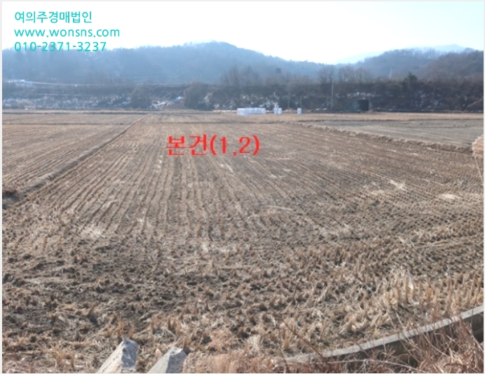 ÅäÁö(´ä) »çÁø1 | ¿µÁֽà ¾ÈÁ¤¸é ½ÅÀü¸® | 2022Ÿ°æ103471 | ÅäÁö(´ä)°æ¸Å