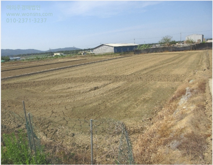 ÅäÁö(ÀÓ¾ß) »çÁø1 | ´Þ¼º±º ³í°øÀ¾ ³ëÀ̸® | 2023Ÿ°æ32785 | ÅäÁö(ÀÓ¾ß)°æ¸Å