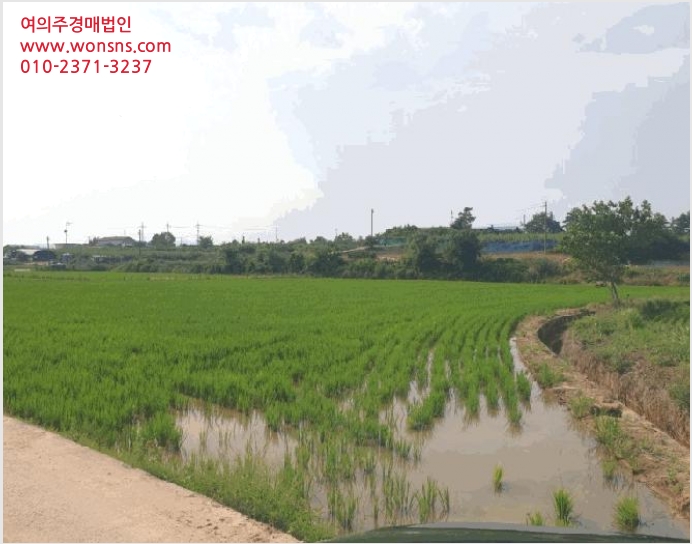 ÅäÁö(´ä) »çÁø1 | ³ªÁֽà ºÀȲ¸é ¿Á»ê¸® | 2025Ÿ°æ33243 | ÅäÁö(´ä)°æ¸Å