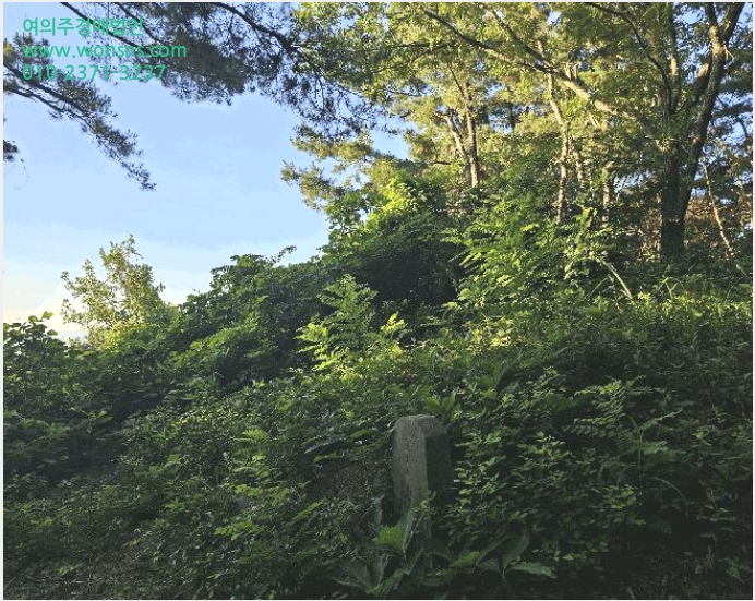 ÅäÁö(ÀÓ¾ß) »çÁø1 | Æ÷Ç׽à ºÏ±¸ ÈïÇØÀ¾ | 2025Ÿ°æ3882 | ÅäÁö(ÀÓ¾ß)°æ¸Å