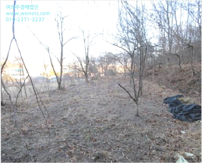 ÅäÁö(Àü) »çÁø1 | »óÁֽà ³«µ¿¸é Àå°î¸® | 2024Ÿ°æ73054 | ÅäÁö(Àü)°æ¸Å