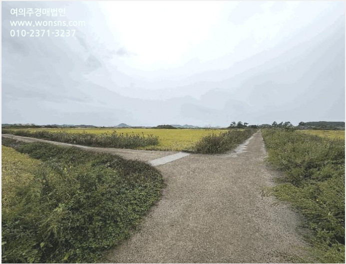 ÅäÁö(´ä) »çÁø1 | ¹«¾È±º ÀÏ·ÎÀ¾ ûȣ¸® | 2025Ÿ°æ51508 | ÅäÁö(´ä)°æ¸Å
