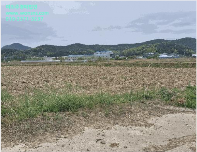 ÅäÁö(´ä) »çÁø1 | °æÁֽà ¾È°À¾ °©»ê¸® | 2025Ÿ°æ10446 | ÅäÁö(´ä)°æ¸Å