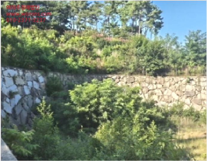 ÅäÁö(ÀÓ¾ß) »çÁø1 | °í¼º±º È¸È¸é ºÀµ¿¸® | 2025Ÿ°æ21738 | ÅäÁö(ÀÓ¾ß)°æ¸Å