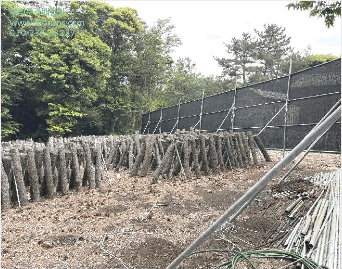 ´Üµ¶ÁÖÅà »çÁø1 | ¼±ÍÆ÷½Ã ³²¿øÀ¾ ¼ö¸Á¸® | 2025Ÿ°æ8036 | ´Üµ¶ÁÖÅðæ¸Å
