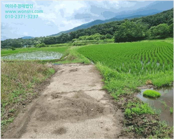ÅäÁö(´ä) »çÁø1 | ¿ïÁÖ±º »óºÏ¸é °Å¸® | 2025Ÿ°æ1174 | ÅäÁö(´ä)°æ¸Å