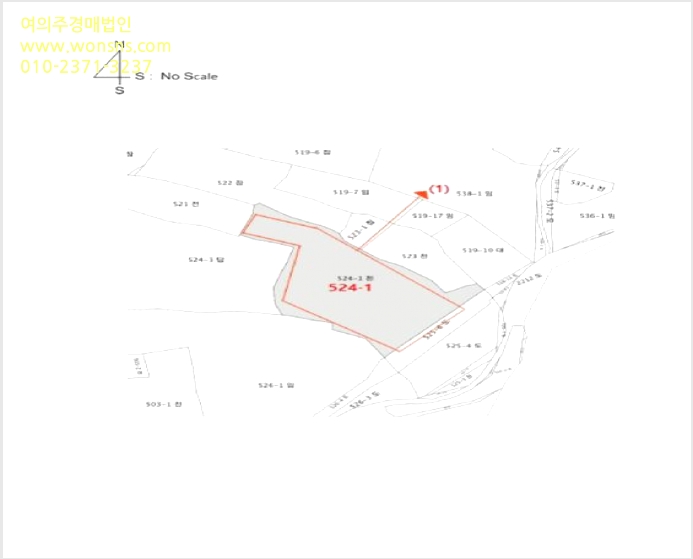 ÅäÁö(Àü) »çÁø1 | °íÈﱺ µµ´ö¸é ½Å¾ç¸® | 2025Ÿ°æ675 | ÅäÁö(Àü)°æ¸Å