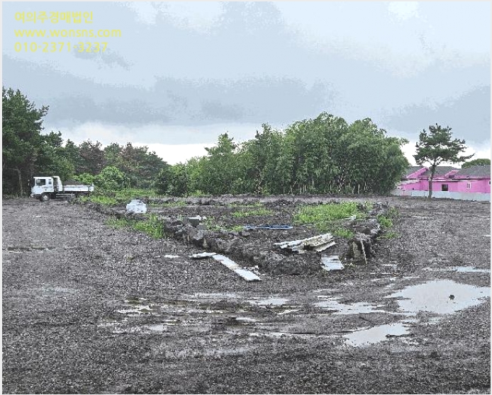 ÅäÁö(ÀÓ¾ß) »çÁø1 | ¼±ÍÆ÷½Ã ¾È´ö¸é »ó⸮ | 2025Ÿ°æ1696 | ÅäÁö(ÀÓ¾ß)°æ¸Å