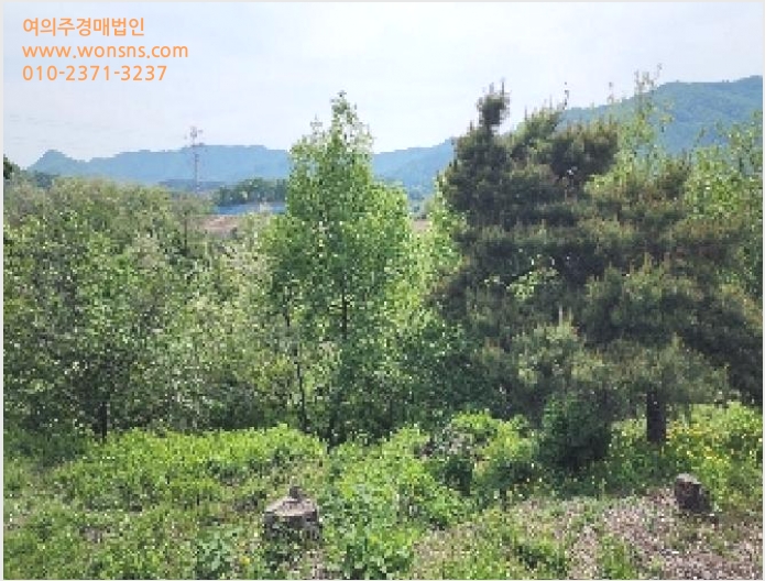 ÅäÁö(Àü) »çÁø1 | ¿Áõ±º û¼º¸é ´É¿ù¸® | 2025Ÿ°æ72 | ÅäÁö(Àü)°æ¸Å