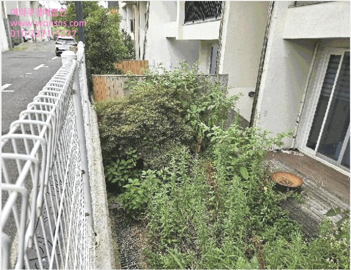 ´Ù¼¼´ë,ºô¶ó »çÁø1 | Á¦ÁÖ½Ã ÇØ¾Èµ¿ 35-114 | 2025Ÿ°æ1474 | ´Ù¼¼´ë,ºô¶ó°æ¸Å