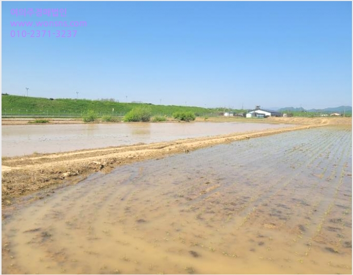 ÅäÁö(´ä) »çÁø1 | ö¿ø±º ö¿øÀ¾ ³»Æ÷¸® | 2024Ÿ°æ76337 | ÅäÁö(´ä)°æ¸Å