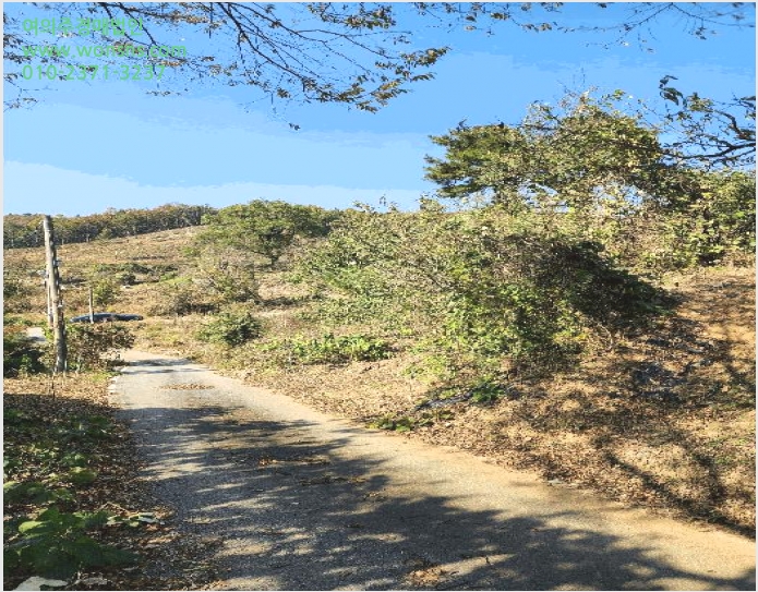 ÅäÁö(ÀÓ¾ß) »çÁø1 | À½¼º±º ±Ý¿ÕÀ¾ À°·É¸® | 2025Ÿ°æ30854 | ÅäÁö(ÀÓ¾ß)°æ¸Å
