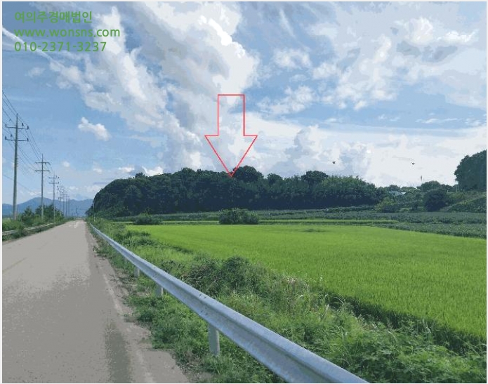 ÅäÁö(Àü) »çÁø1 | °íⱺ Èï´ö¸é ¿ë¹Ý¸® | 2025Ÿ°æ30419 | ÅäÁö(Àü)°æ¸Å