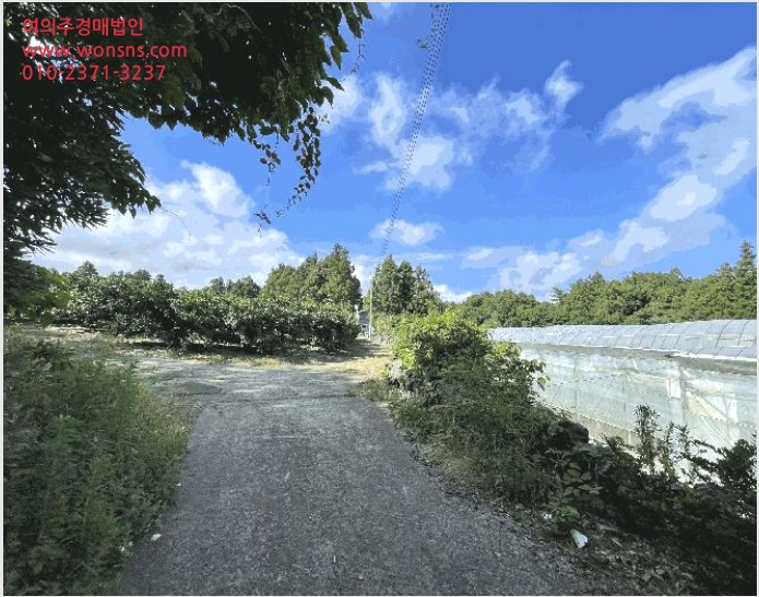 ÅäÁö(°ú¼ö¿ø) »çÁø1 | ¼±ÍÆ÷½Ã ³²¿øÀ¾ À§¹Ì¸® | 2025Ÿ°æ1464 | ÅäÁö(°ú¼ö¿ø)°æ¸Å