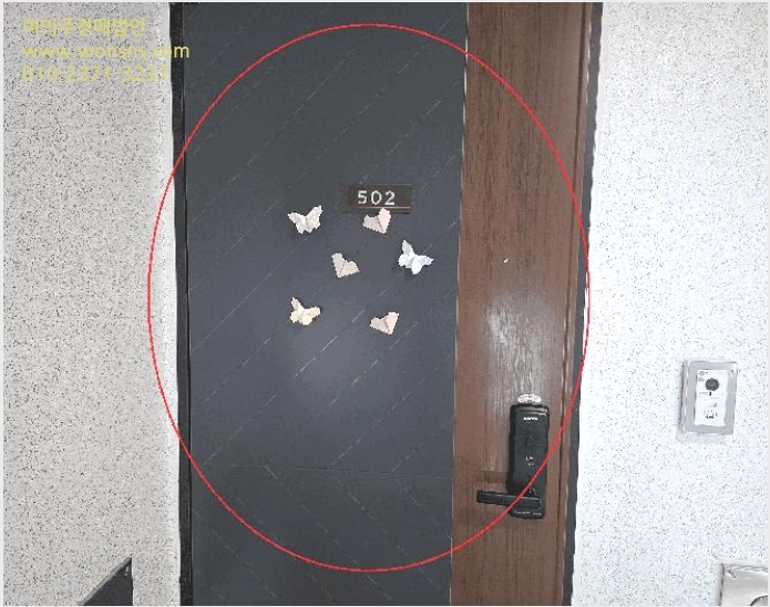 ´Ù¼¼´ë,ºô¶ó »çÁø1 | °¼±¸ Ȱ 1169 | 2025Ÿ°æ12866 | ´Ù¼¼´ë,ºô¶ó°æ¸Å