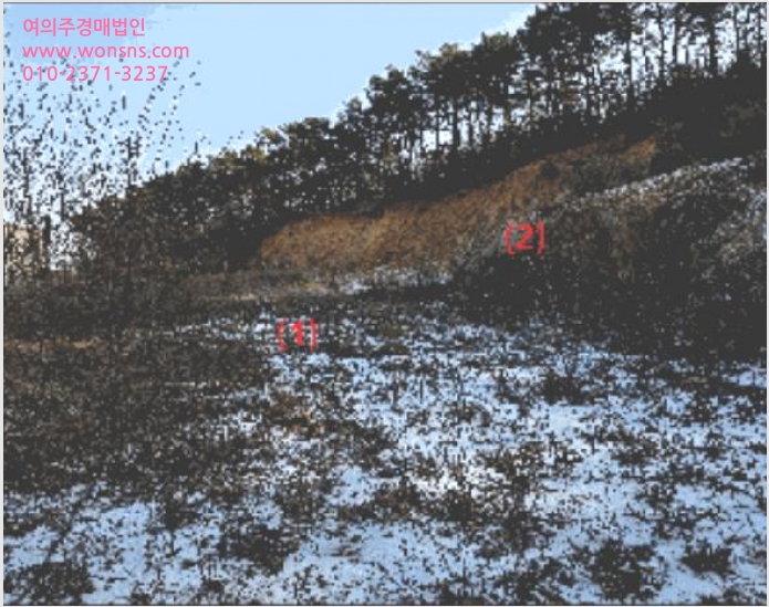 ÅäÁö(ÀÓ¾ß) »çÁø1 | õ¾È½Ã µ¿³²±¸ dz¼¼¸é | 2026Ÿ°æ10030 | ÅäÁö(ÀÓ¾ß)°æ¸Å