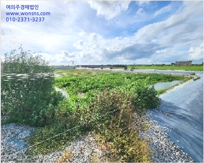 ¾ç¾îÀå »çÁø1 | Á¤À¾½Ã °¨°î¸é »ïÆò¸® | 2025Ÿ°æ286 | ¾ç¾îÀå°æ¸Å