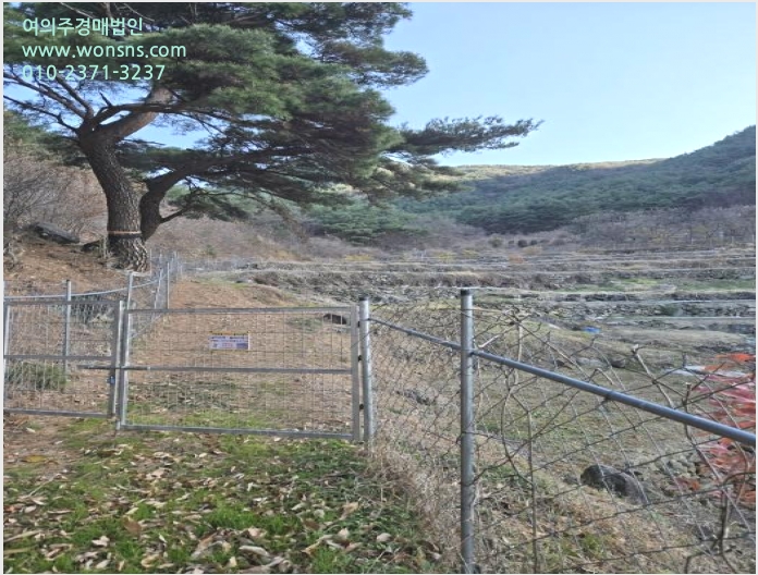 ÅäÁö(ÀÓ¾ß) »çÁø1 | »êû±º ½Å¾È¸é ¿Ü¼Û¸® | 2024Ÿ°æ6495 | ÅäÁö(ÀÓ¾ß)°æ¸Å