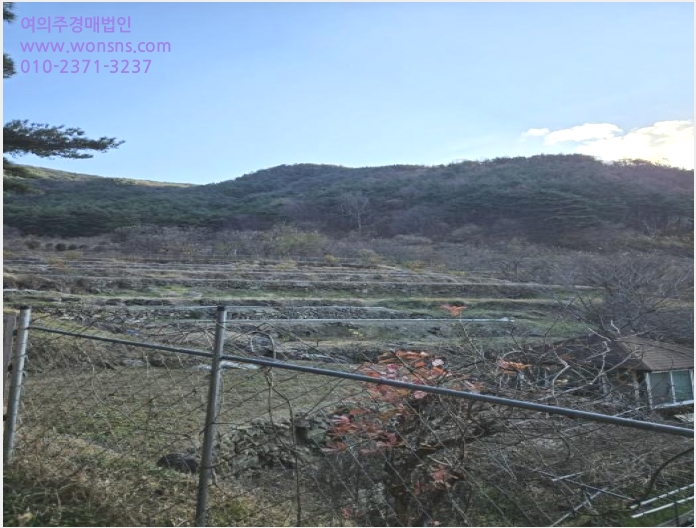 ÅäÁö(ÀÓ¾ß) »çÁø1 | »êû±º ½Å¾È¸é ¿Ü¼Û¸® | 2024Ÿ°æ6495 | ÅäÁö(ÀÓ¾ß)°æ¸Å