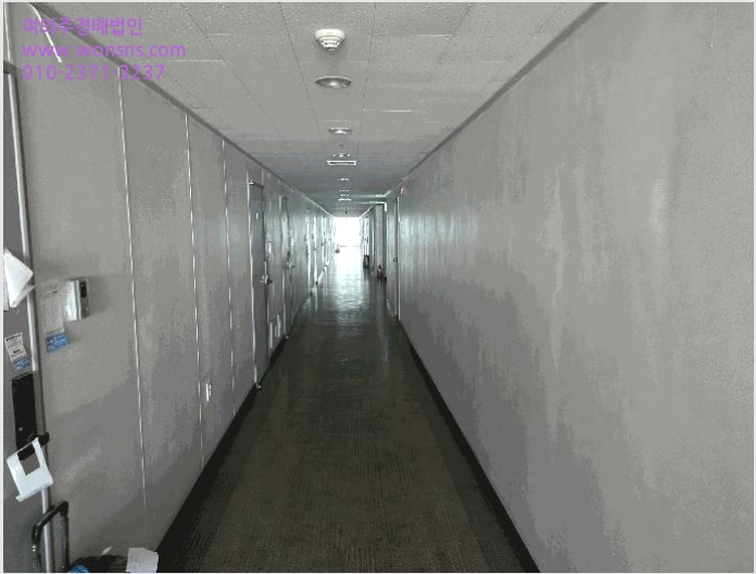 ´Ù¼¼´ë,ºô¶ó »çÁø1 | °¼±¸ Ȱ 1161 | 2025Ÿ°æ14037 | ´Ù¼¼´ë,ºô¶ó°æ¸Å