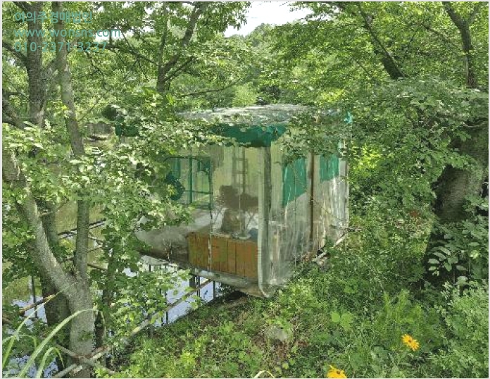 ÅäÁö(Àü) »çÁø1 | °æÁֽà ³»³²¸é Ȱ | 2025Ÿ°æ426 | ÅäÁö(Àü)°æ¸Å