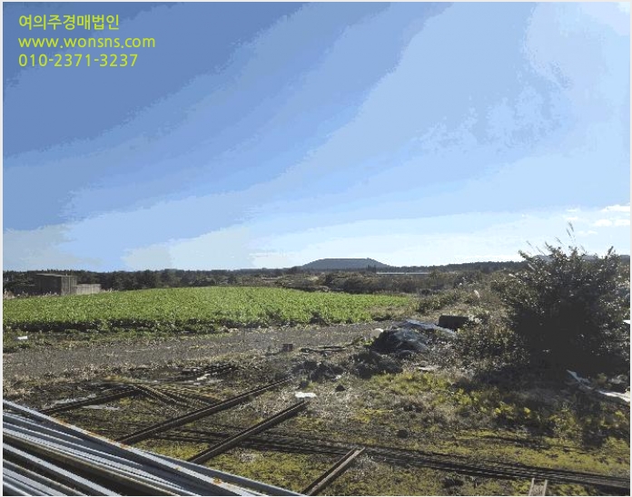 ÅäÁö(Àü) »çÁø1 | Á¦Áֽà ±¸ÁÂÀ¾ ¼Û´ç¸® | 2025Ÿ°æ9003 | ÅäÁö(Àü)°æ¸Å