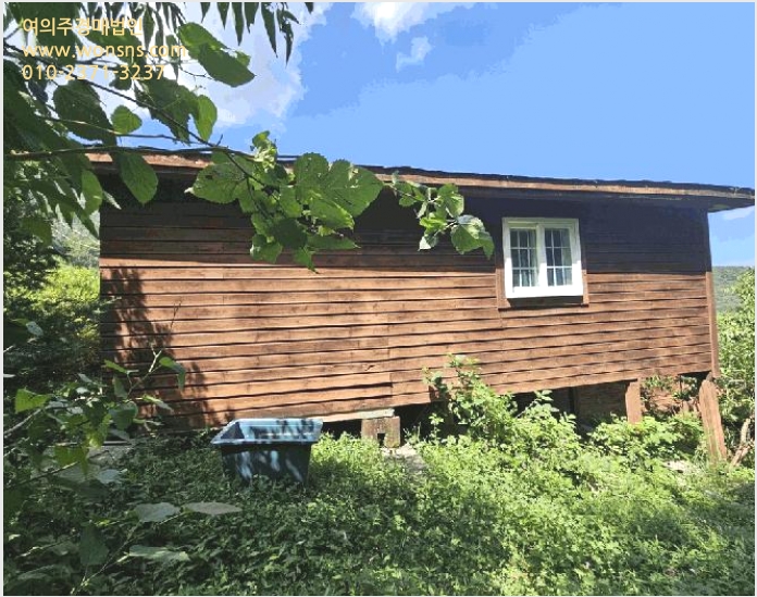 ÅäÁö(ÀÓ¾ß) »çÁø1 | ´Ü¾ç±º Àû¼º¸é »ó¸® | 2025Ÿ°æ5406 | ÅäÁö(ÀÓ¾ß)°æ¸Å