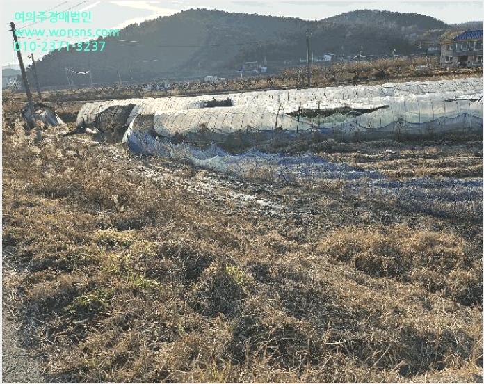 ÅäÁö(´ä) »çÁø1 | ±Ý³²¸é µµ¾Ï¸® 107 | 2025Ÿ°æ4022 | ÅäÁö(´ä)°æ¸Å